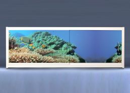Экран на роликах EUROPLEX Коралловые рифы
