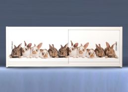 Экран на роликах EUROPLEX Кролики