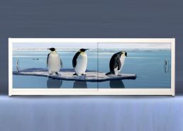 Экран на роликах EUROPLEX Пингвины