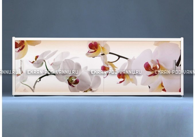 Экран с рисунком EURO-PLEX Orchid – купить по цене 8500 руб. в интернет-магазине картинка 1