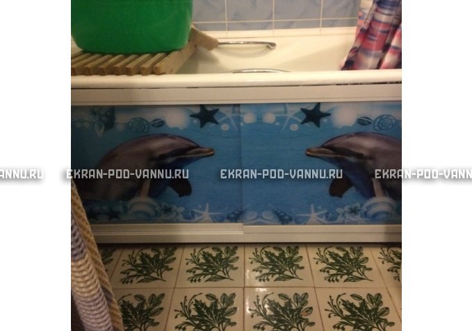 Экран с рисунком EURO-PLEX  Дельфины на роликах – купить по цене 12400 руб. в интернет-магазине картинка 1