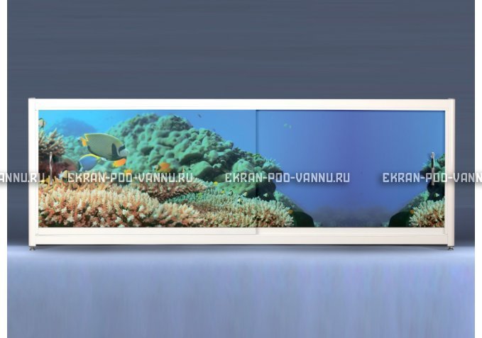 Экран с рисунком EURO-PLEX Коралловые рифы на роликах – купить по цене 12400 руб. в интернет-магазине картинка 1