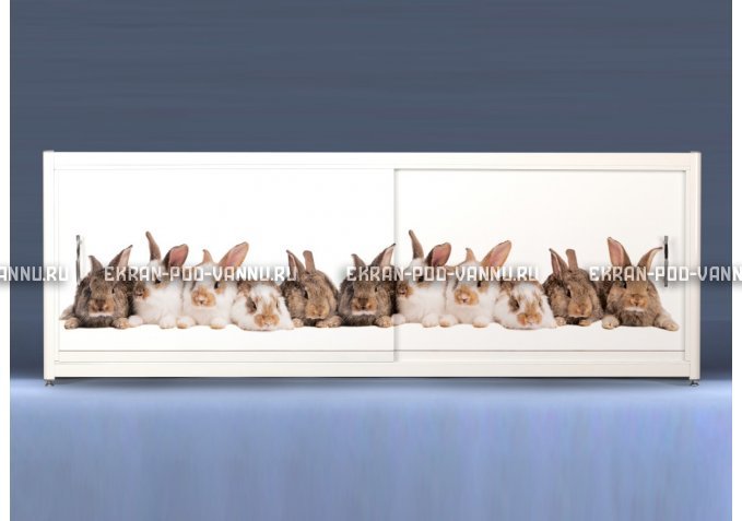 Экран с рисунком EURO-PLEX Кролики на роликах – купить по цене 12400 руб. в интернет-магазине картинка 1
