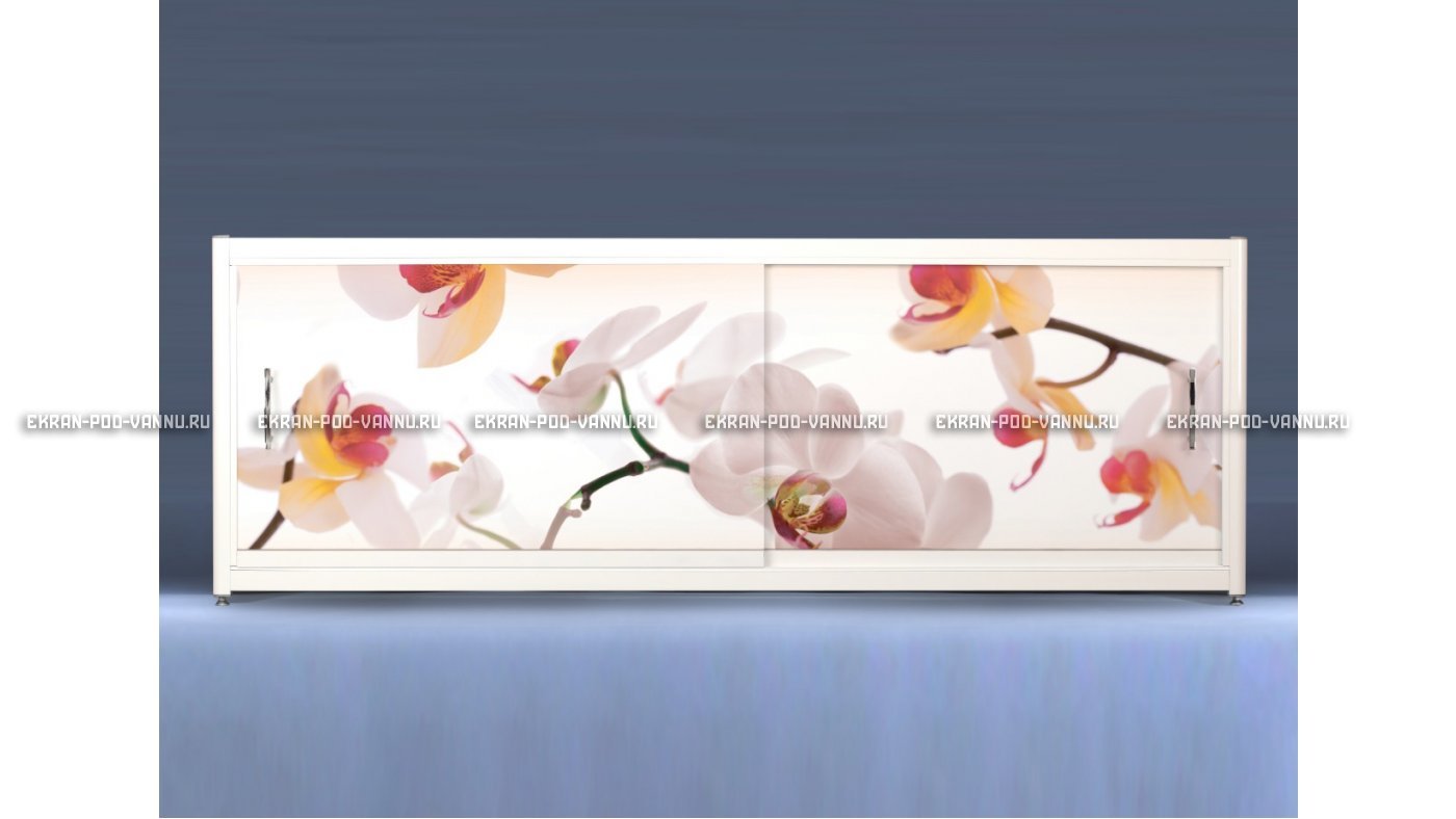 Экран с рисунком EURO-PLEX Орхидея на роликах – купить по цене 12400 руб. в интернет-магазине картинка 14