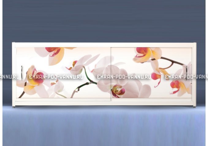Экран с рисунком EURO-PLEX Орхидея на роликах – купить по цене 12400 руб. в интернет-магазине картинка 1