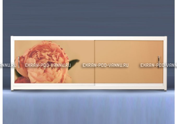 Экран с рисунком EURO-PLEX Пион на роликах – купить по цене 12400 руб. в интернет-магазине картинка 1