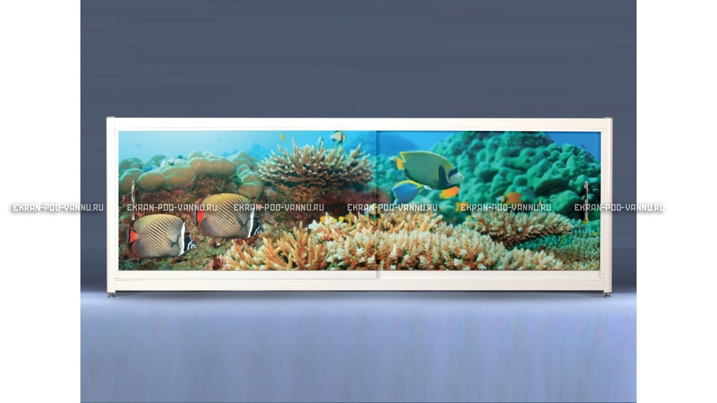 Экран с рисунком EURO-PLEX Подводный мир на роликах – купить по цене 12400 руб. в интернет-магазине картинка 8