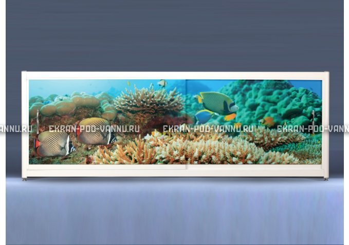Экран с рисунком EURO-PLEX Подводный мир на роликах – купить по цене 12400 руб. в интернет-магазине картинка 1