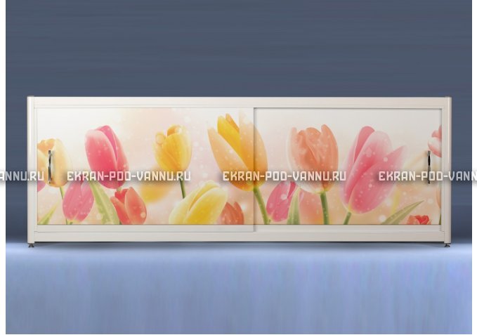 Экран с рисунком EURO-PLEX Тюльпаны на роликах – купить по цене 12400 руб. в интернет-магазине картинка 1