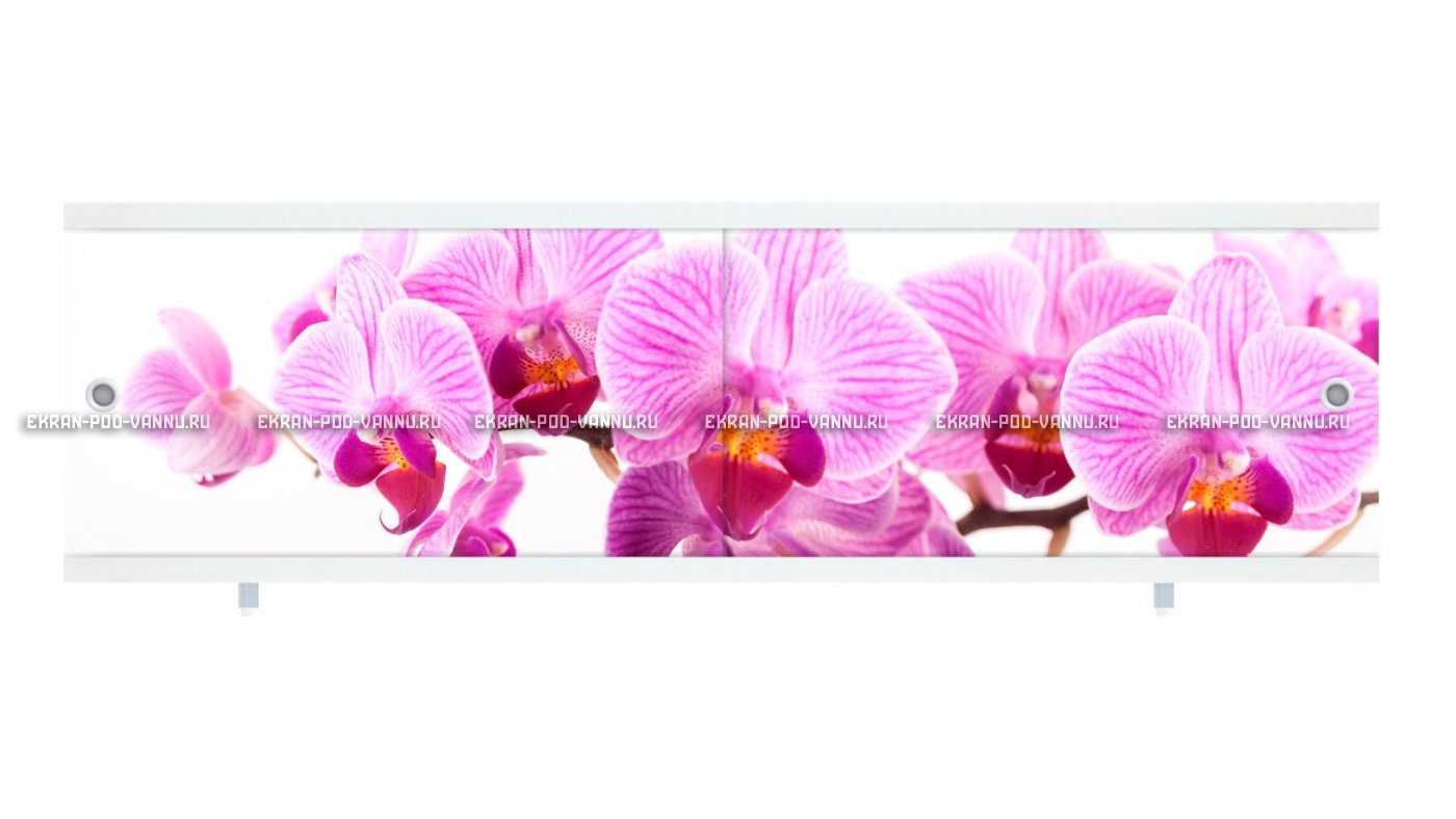 Раздвижной экран МетаКам Ультралегкий 150 и 170 Орхидея – купить по цене 1590 руб. в интернет-магазине картинка 7