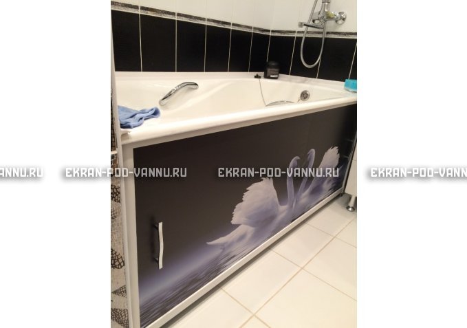 Экран с рисунком EURO-PLEX Лебеди – купить по цене 8500 руб. в интернет-магазине картинка 2