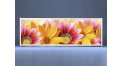 Экран с рисунком EURO-PLEX Flowers – купить по цене 8500 руб. в интернет-магазине картинка 8