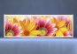 Раздвижной фото-экран под ванну Flowers из Plexiglas
