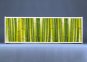 Раздвижной фото-экран под ванну Green Bamboo из Plexiglas