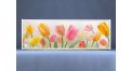 Экран с рисунком EURO-PLEX Тюльпаны – купить по цене 8500 руб. в интернет-магазине картинка 8