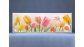 Экран с рисунком EURO-PLEX Тюльпаны – купить по цене 8500 руб. в интернет-магазине картинка 3