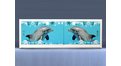Экран с рисунком EURO-PLEX  Дельфины на роликах – купить по цене 12400 руб. в интернет-магазине картинка 15
