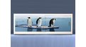 Экран с рисунком EURO-PLEX Пингвины на роликах – купить по цене 12400 руб. в интернет-магазине картинка 11