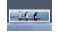 Экран с рисунком EURO-PLEX Пингвины на роликах – купить по цене 12400 руб. в интернет-магазине картинка 4