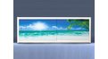 Экран с рисунком EURO-PLEX Пляж на роликах – купить по цене 12400 руб. в интернет-магазине картинка 11