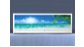 Экран с рисунком EURO-PLEX Пляж на роликах – купить по цене 12400 руб. в интернет-магазине картинка 4