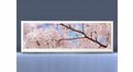 Экран с рисунком EURO-PLEX Цветущий Сад на роликах – купить по цене 12400 руб. в интернет-магазине картинка 11