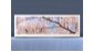 Экран с рисунком EURO-PLEX Цветущий Сад на роликах – купить по цене 12400 руб. в интернет-магазине картинка 4