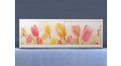 Экран с рисунком EURO-PLEX Тюльпаны на роликах – купить по цене 12400 руб. в интернет-магазине картинка 11