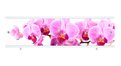 Раздвижной экран МетаКам Ультралегкий 150 и 170 Орхидея – купить по цене 1590 руб. в интернет-магазине картинка 9