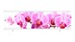 Раздвижной экран МетаКам Ультралегкий 150 и 170 Орхидея – купить по цене 1590 руб. в интернет-магазине картинка 4